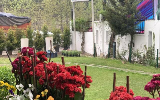 Renest River Country Resort Manali