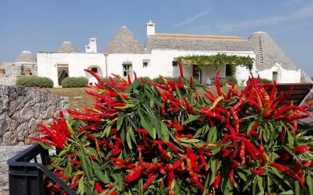 La Casa degli Uccellini Bio Agriturismo