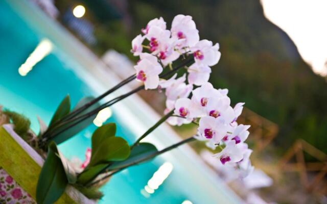 Agriturismo Ca Montioni