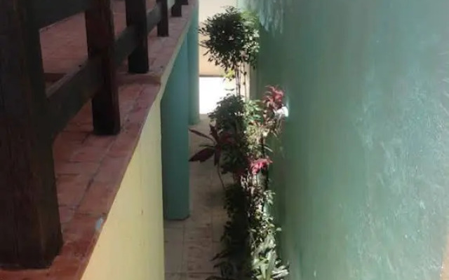 Le Colibri
