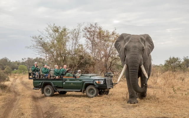 Karongwe- Shiduli Safari Lodge