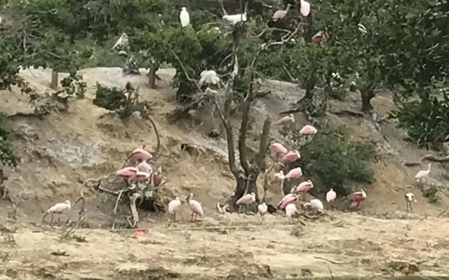 Out by the sea Bed & Breakfast