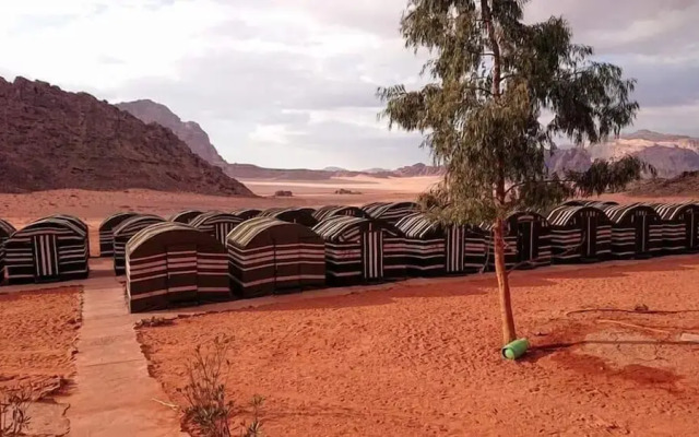 Wadi rum light camp