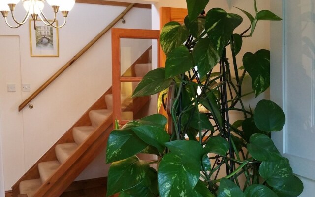 Drinkstone Park Bed & Breakfast and Gardens