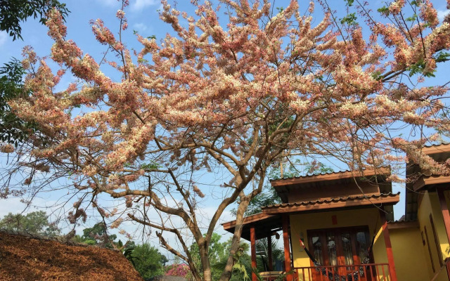 Pai Loess Resort