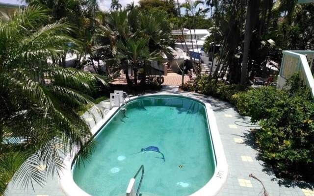 Renovated Aquamar 7 - 1 Br Apts