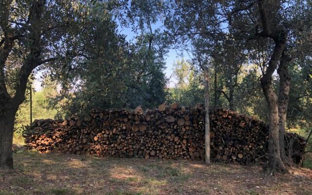Podere Casato Hills View, Pool, Wifi Tuscany