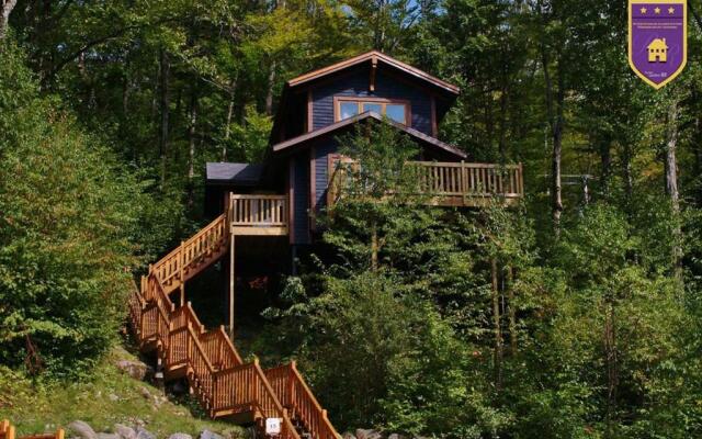 Chalets Alpins - 15 Chemin Alpin