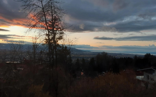 Ferienwohnung Bodenseeblick