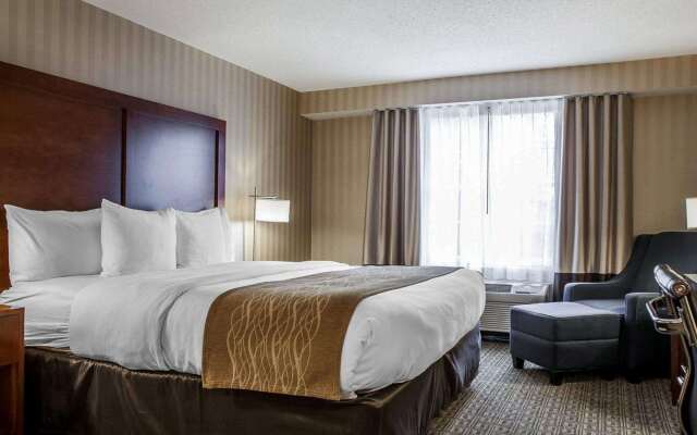 Comfort Inn & Suites Sturbridge - Brimfield