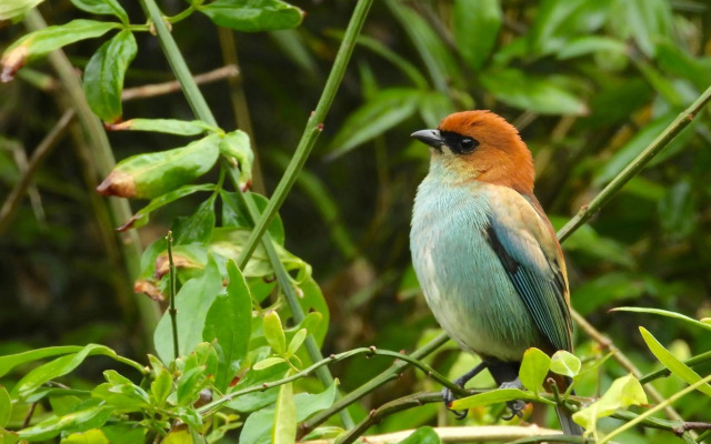Viento Azul Guest House