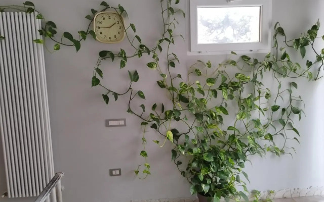 Mini Loft Fronte Mare