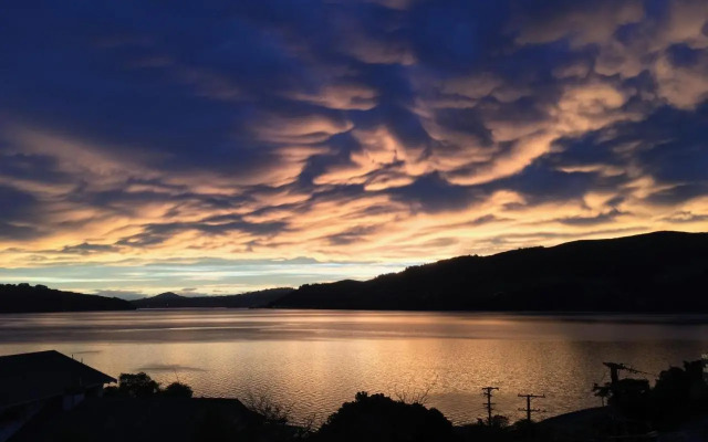 Otago Peninsula Paradise