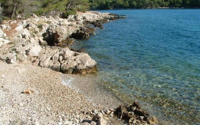 Studio Apartment Nik-50m from beach