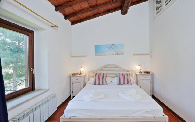 Pimpinnacolo 1 - 1BR M2