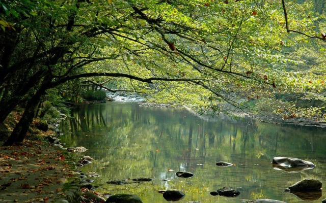 River Dream 466 By Redawning