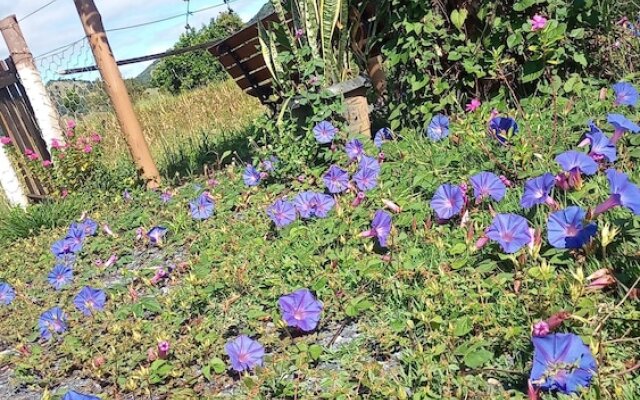 Pousada Flores De ipê