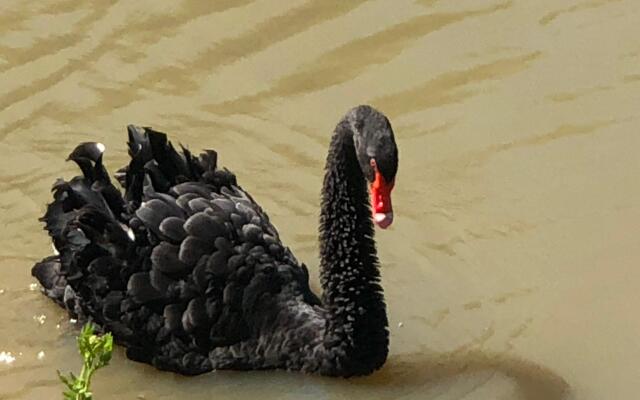 Эко-поместье Озера