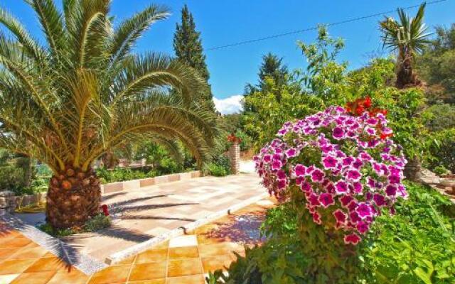 Apartment Violeta 745