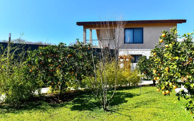 Volans Suites