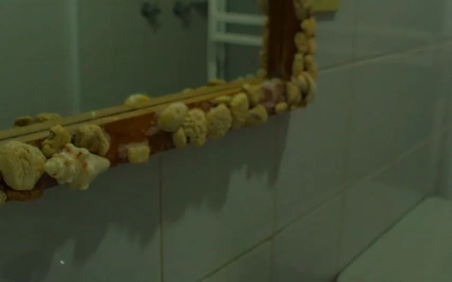 Apartamentos Bahia Fragata
