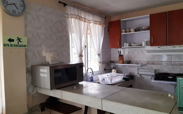 Posada Mirny