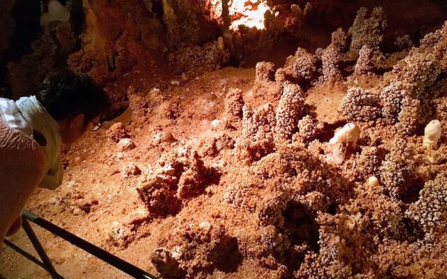 Aven Grotte Forestière