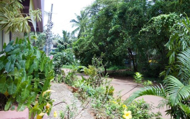 Daffodils Guest House - Calangute