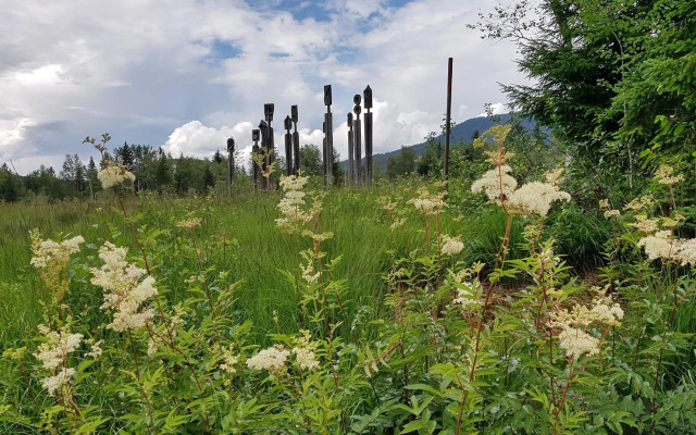 Wohlfühlappartement ALPINA