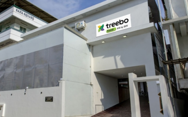 Treebo Trend 10By D2V