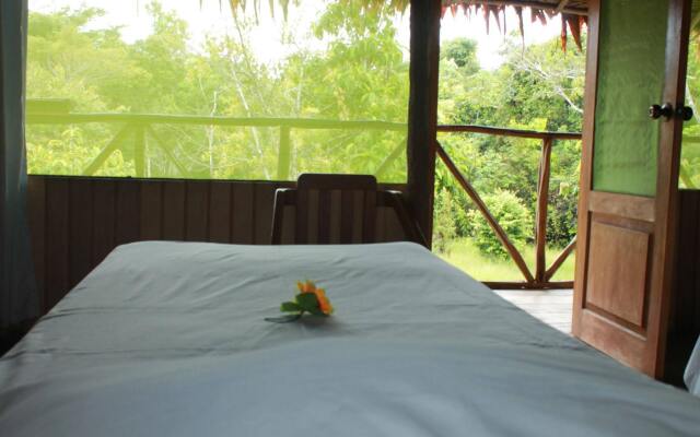 Tropical Adventures & Expeditions