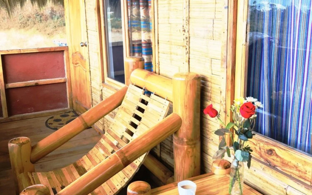 Sara Lodge