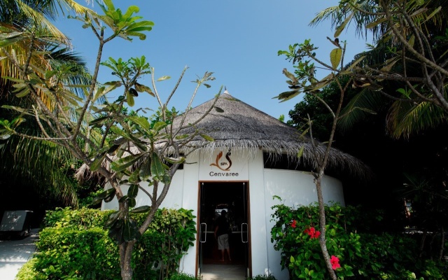 Machchafushi Island Resort & Spa Maldives, The Centara Collection - photo 1