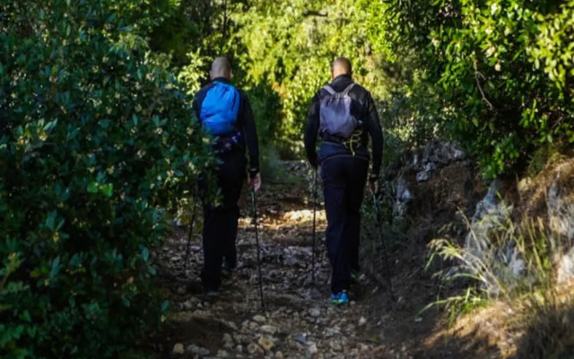 Holiday Flat With Balcony in Ceriale