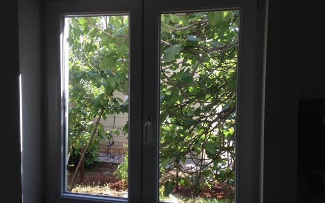 Apartment and Studio Jelušić