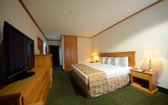 Hotel Sicomoro