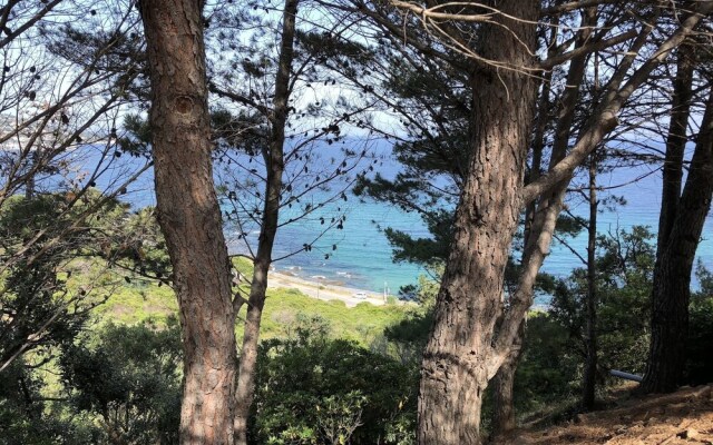 Studio SeaView