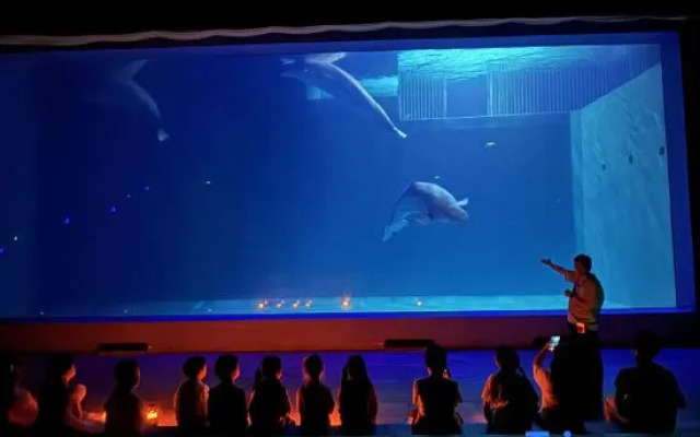 Harbin Polar Bear Hotel