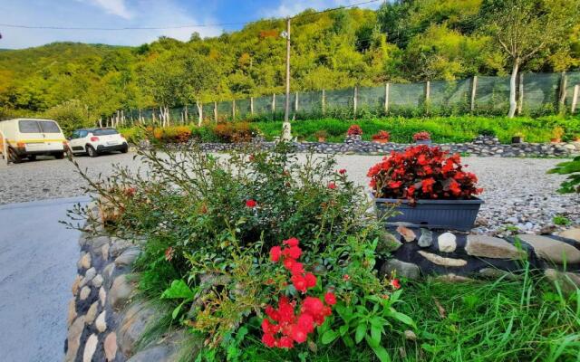 Smeštaj pored Drine