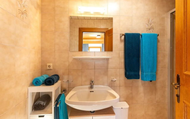 Great Apartment Near the ski Area