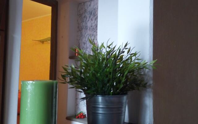 Home Signa