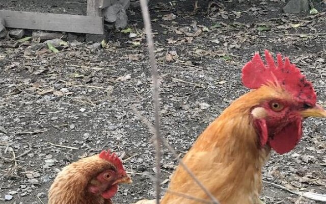 Bucca di mola Turismo rurale San Gaetano