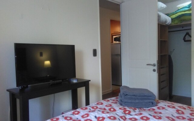 Apartamento Living Montt