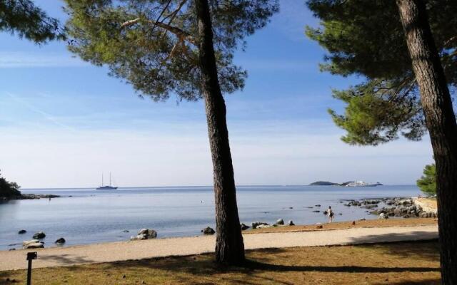 Studio Centener Rustico Gold