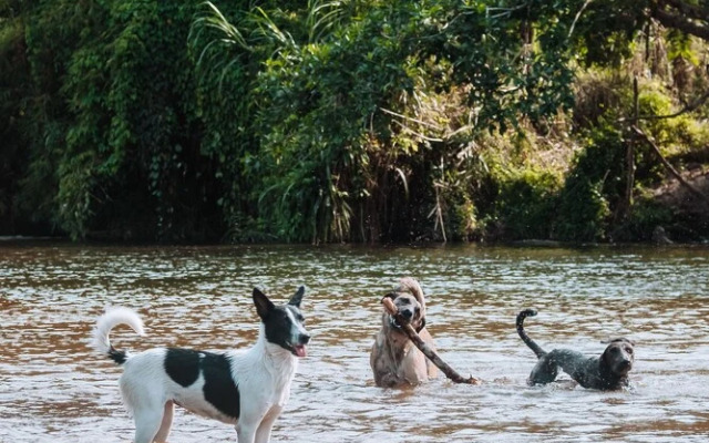 Casa del Pavo Real Boutique Hotel