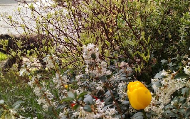 La Ferme de la Papote