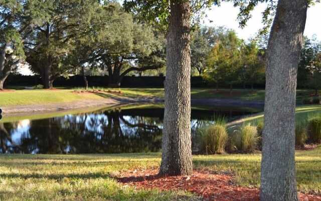 Villa CVX- Lucaya Village