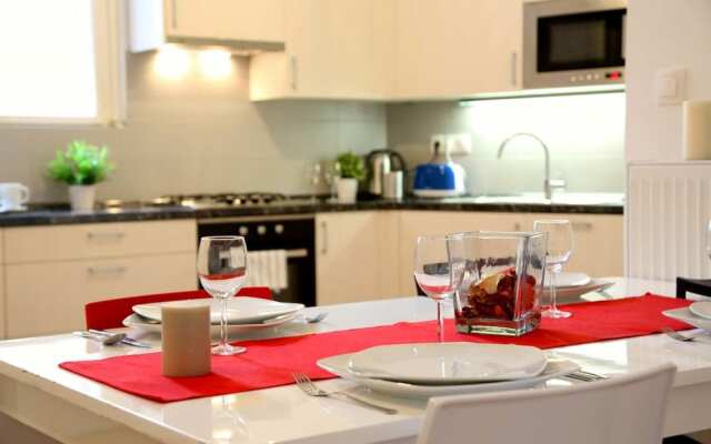 Large Wenceslas Square Apartment