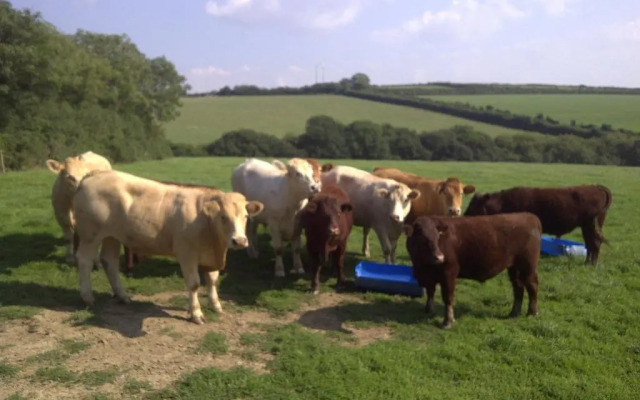 The Barn At Collacott