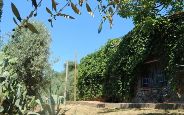 Snug Holiday Home in Castagneto Carducci near Thermal Bath